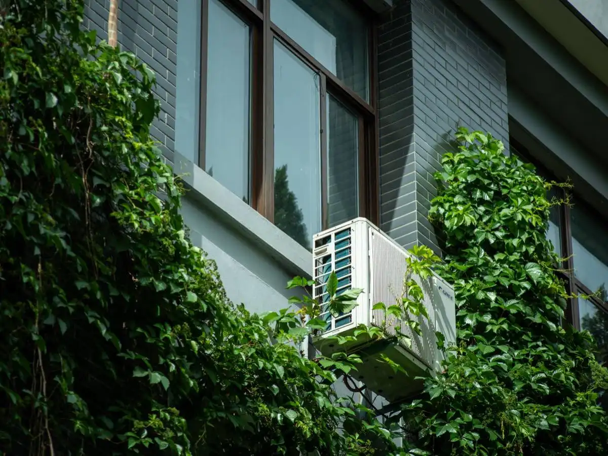 Energy-Efficient Low-E Windows in Cedar Rapids, IA